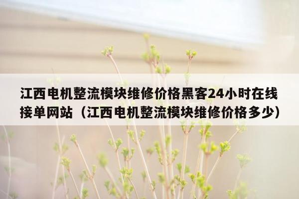 江西电机整流模块维修价格黑客24小时在线接单网站（江西电机整流模块维修价格多少）