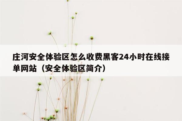 庄河安全体验区怎么收费黑客24小时在线接单网站（安全体验区简介）