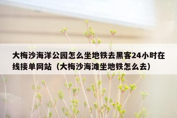 大梅沙海洋公园怎么坐地铁去黑客24小时在线接单网站（大梅沙海滩坐地铁怎么去）