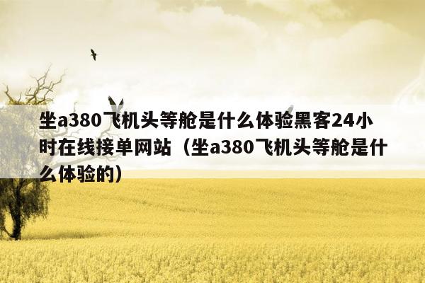 坐a380飞机头等舱是什么体验黑客24小时在线接单网站（坐a380飞机头等舱是什么体验的）