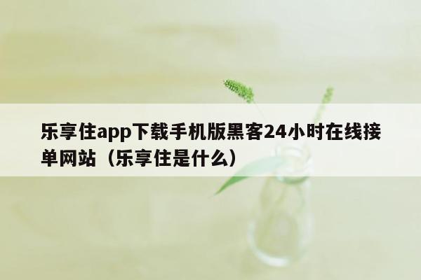 乐享住app下载手机版黑客24小时在线接单网站（乐享住是什么）