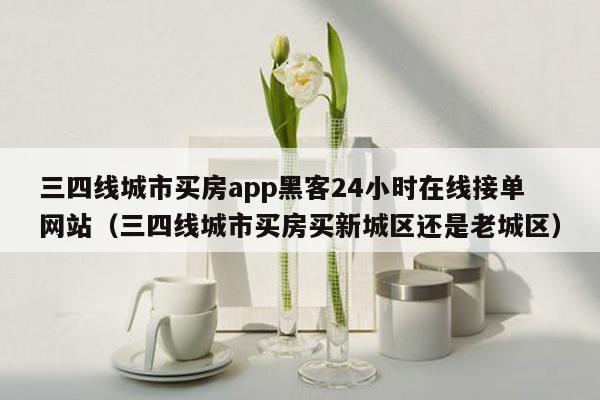 三四线城市买房app黑客24小时在线接单网站（三四线城市买房买新城区还是老城区）