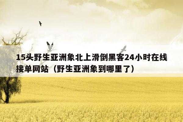 15头野生亚洲象北上滑倒黑客24小时在线接单网站（野生亚洲象到哪里了）