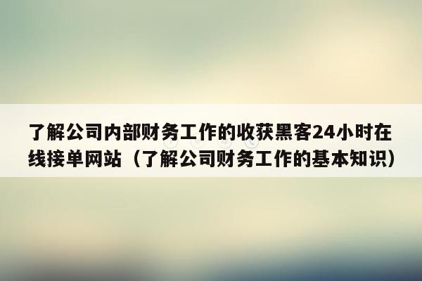 了解公司内部财务工作的收获黑客24小时在线接单网站（了解公司财务工作的基本知识）