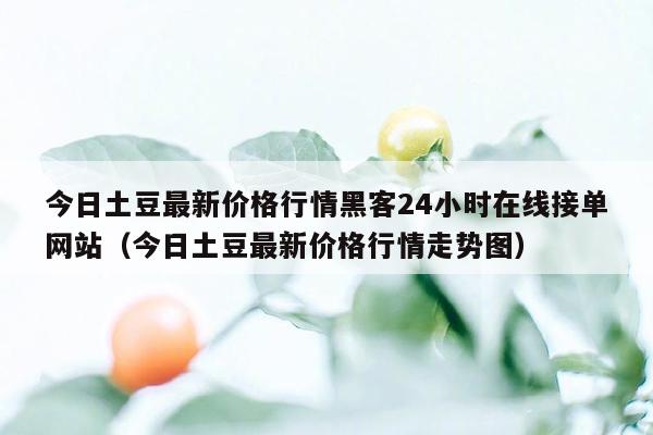 今日土豆最新价格行情黑客24小时在线接单网站（今日土豆最新价格行情走势图）