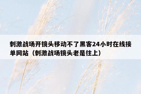 刺激战场开镜头移动不了黑客24小时在线接单网站（刺激战场镜头老是往上）