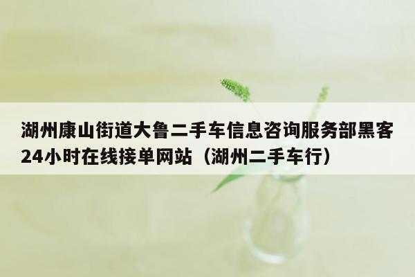 湖州康山街道大鲁二手车信息咨询服务部黑客24小时在线接单网站（湖州二手车行）