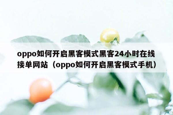 oppo如何开启黑客模式黑客24小时在线接单网站（oppo如何开启黑客模式手机）