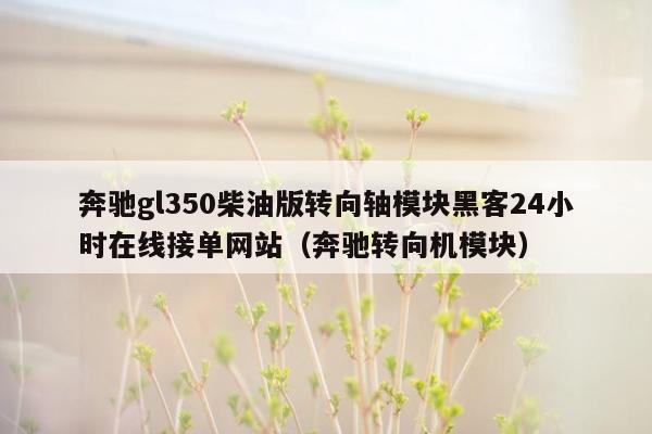 奔驰gl350柴油版转向轴模块黑客24小时在线接单网站（奔驰转向机模块）