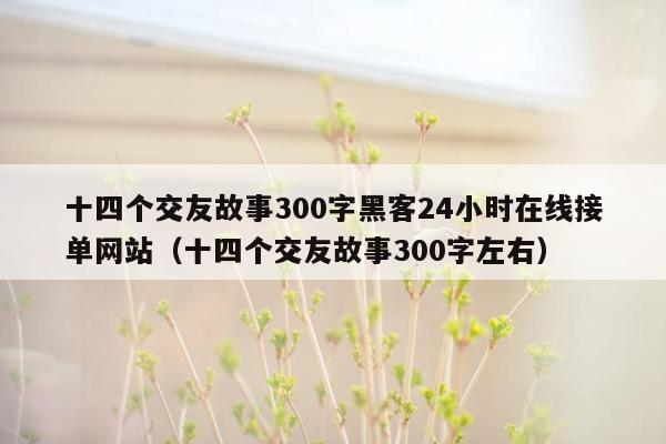 十四个交友故事300字黑客24小时在线接单网站（十四个交友故事300字左右）