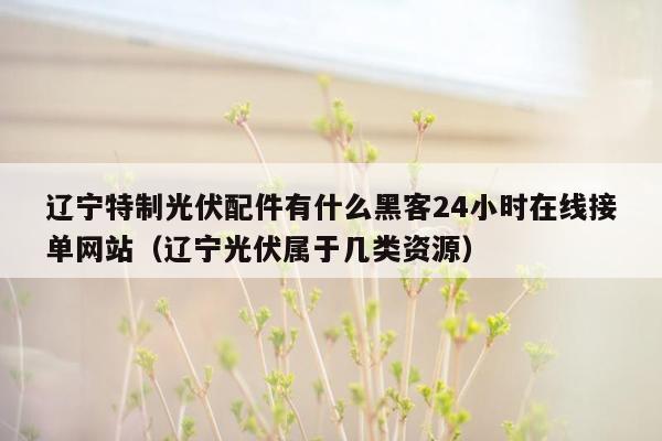 辽宁特制光伏配件有什么黑客24小时在线接单网站（辽宁光伏属于几类资源）