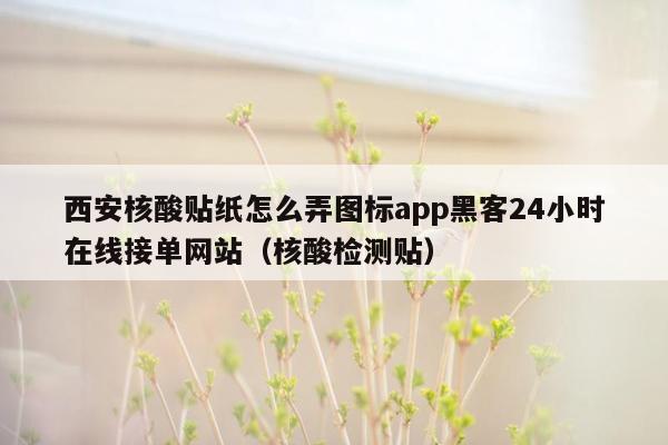 西安核酸贴纸怎么弄图标app黑客24小时在线接单网站（核酸检测贴）