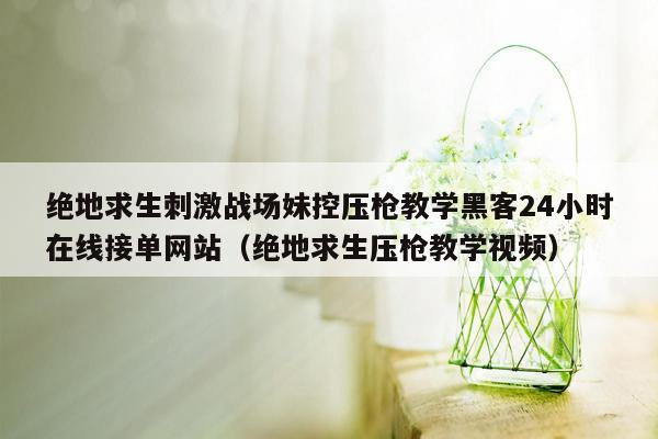 绝地求生刺激战场妹控压枪教学黑客24小时在线接单网站（绝地求生压枪教学视频）