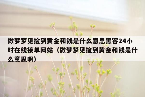 做梦梦见捡到黄金和钱是什么意思黑客24小时在线接单网站（做梦梦见捡到黄金和钱是什么意思啊）