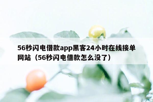 56秒闪电借款app黑客24小时在线接单网站（56秒闪电借款怎么没了）