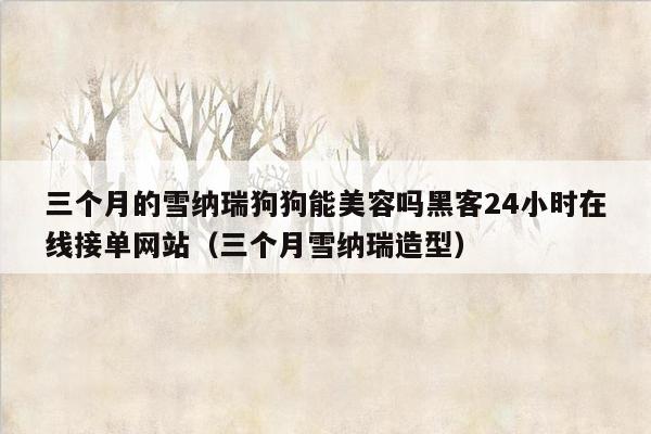 三个月的雪纳瑞狗狗能美容吗黑客24小时在线接单网站（三个月雪纳瑞造型）