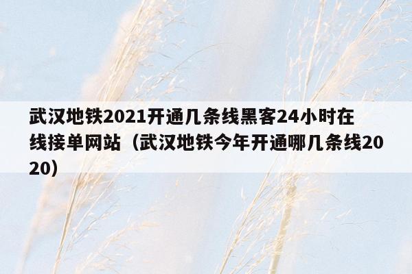 武汉地铁2021开通几条线黑客24小时在线接单网站（武汉地铁今年开通哪几条线2020）