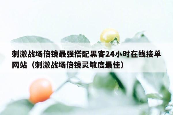 刺激战场倍镜最强搭配黑客24小时在线接单网站（刺激战场倍镜灵敏度最佳）