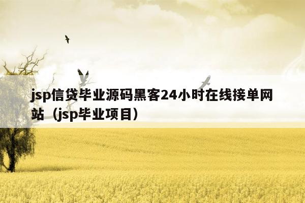 jsp信贷毕业源码黑客24小时在线接单网站（jsp毕业项目）