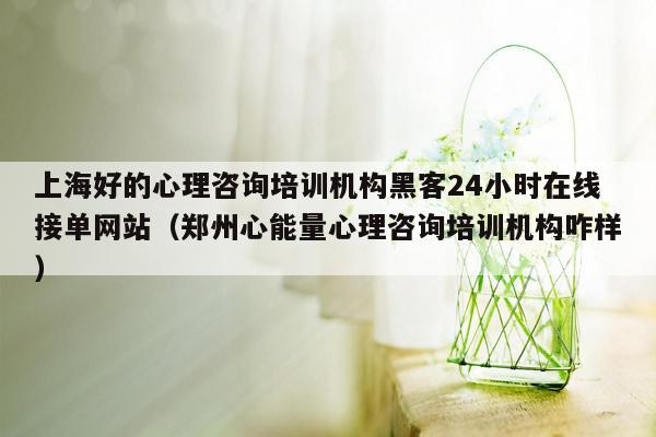 上海好的心理咨询培训机构黑客24小时在线接单网站（郑州心能量心理咨询培训机构咋样）