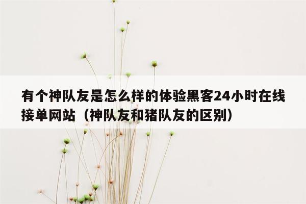 有个神队友是怎么样的体验黑客24小时在线接单网站（神队友和猪队友的区别）