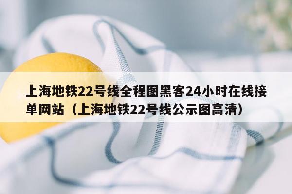 上海地铁22号线全程图黑客24小时在线接单网站（上海地铁22号线公示图高清）