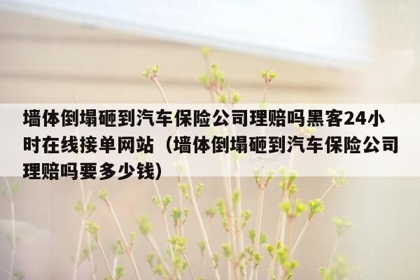 墙体倒塌砸到汽车保险公司理赔吗黑客24小时在线接单网站（墙体倒塌砸到汽车保险公司理赔吗要多少钱）