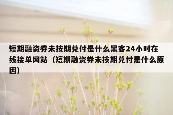 短期融资券未按期兑付是什么黑客24小时在线接单网站（短期融资券未按期兑付是什么原因）