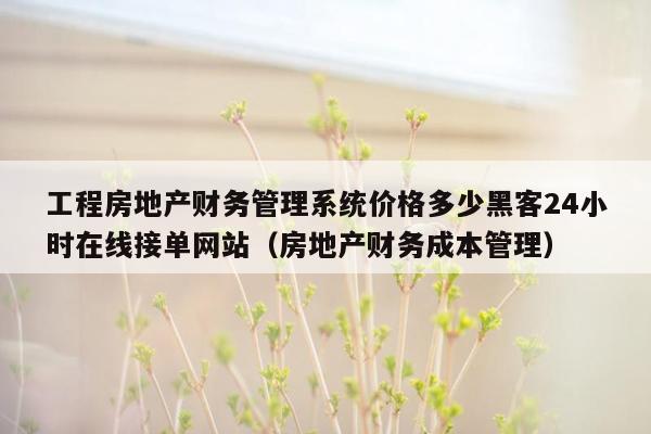 工程房地产财务管理系统价格多少黑客24小时在线接单网站（房地产财务成本管理）