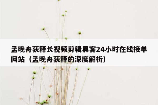 孟晚舟获释长视频剪辑黑客24小时在线接单网站（孟晚舟获释的深度解析）