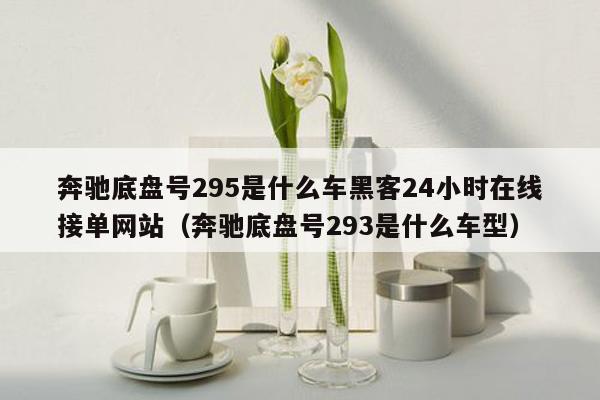 奔驰底盘号295是什么车黑客24小时在线接单网站（奔驰底盘号293是什么车型）