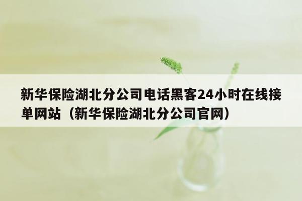 新华保险湖北分公司电话黑客24小时在线接单网站（新华保险湖北分公司官网）