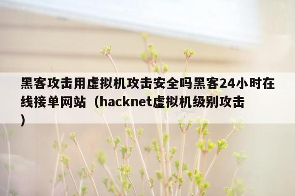 黑客攻击用虚拟机攻击安全吗黑客24小时在线接单网站（hacknet虚拟机级别攻击）