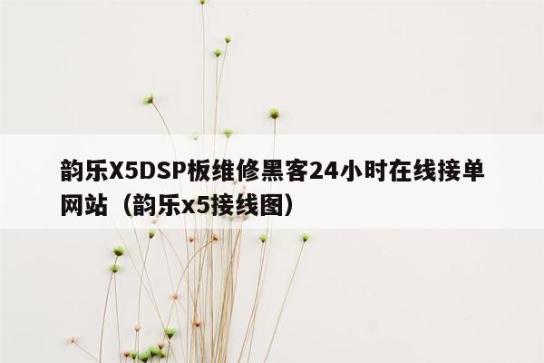 韵乐X5DSP板维修黑客24小时在线接单网站（韵乐x5接线图）