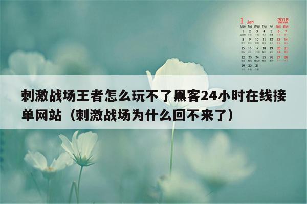 刺激战场王者怎么玩不了黑客24小时在线接单网站（刺激战场为什么回不来了）