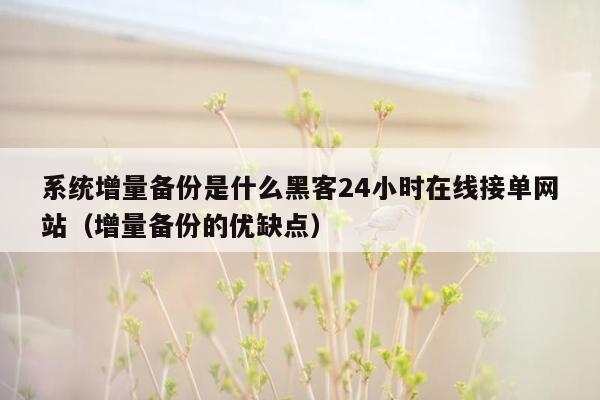 系统增量备份是什么黑客24小时在线接单网站（增量备份的优缺点）