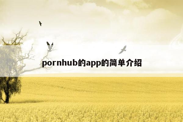 pornhub的app的简单介绍