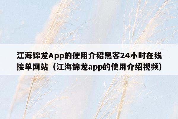 江海锦龙App的使用介绍黑客24小时在线接单网站（江海锦龙app的使用介绍视频）