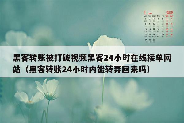 黑客转账被打破视频黑客24小时在线接单网站（黑客转账24小时内能转弄回来吗）