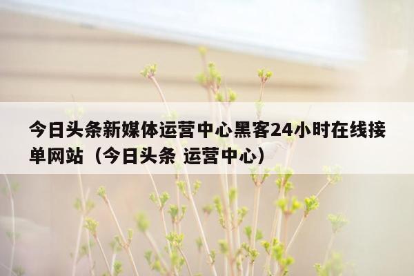 今日头条新媒体运营中心黑客24小时在线接单网站（今日头条 运营中心）