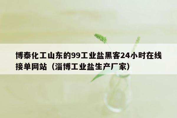 博泰化工山东的99工业盐黑客24小时在线接单网站（淄博工业盐生产厂家）