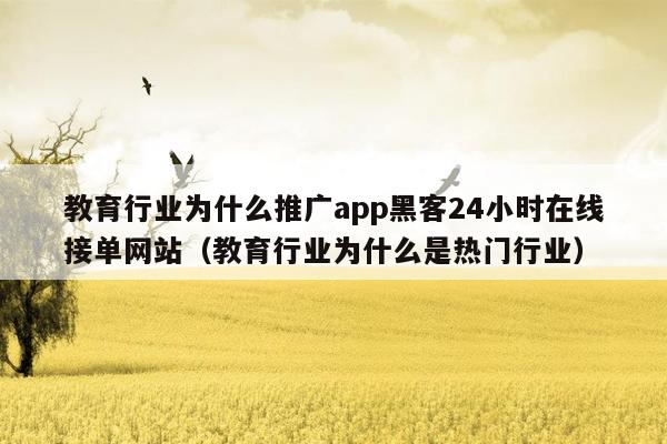 教育行业为什么推广app黑客24小时在线接单网站（教育行业为什么是热门行业）