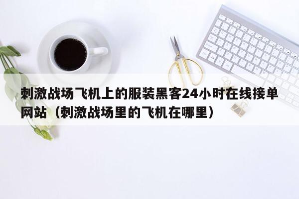 刺激战场飞机上的服装黑客24小时在线接单网站（刺激战场里的飞机在哪里）