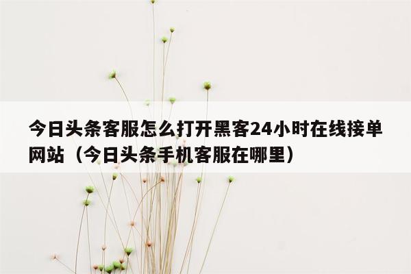 今日头条客服怎么打开黑客24小时在线接单网站（今日头条手机客服在哪里）