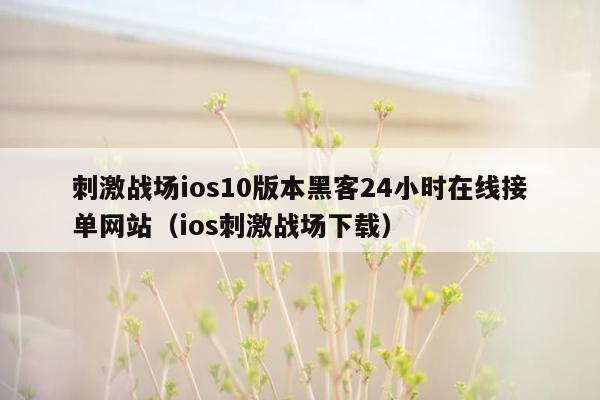 刺激战场ios10版本黑客24小时在线接单网站（ios刺激战场下载）