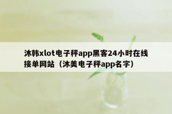 沐韩xlot电子秤app黑客24小时在线接单网站（沐美电子秤app名字）