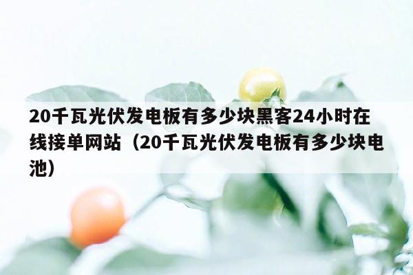 20千瓦光伏发电板有多少块黑客24小时在线接单网站（20千瓦光伏发电板有多少块电池）