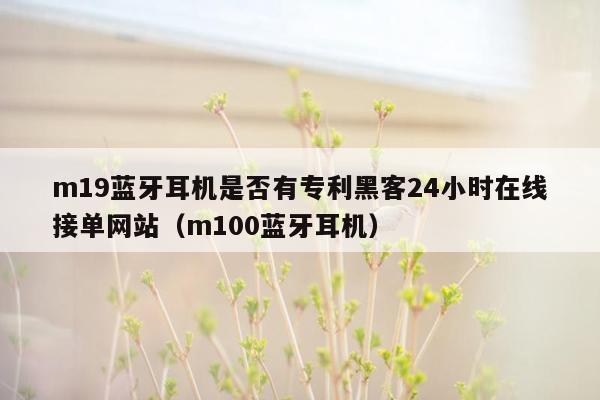 m19蓝牙耳机是否有专利黑客24小时在线接单网站（m100蓝牙耳机）