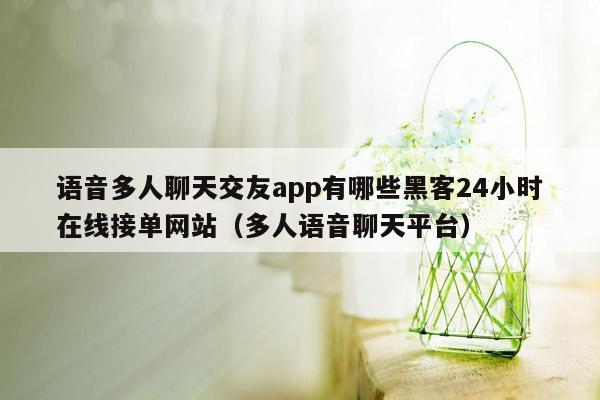 语音多人聊天交友app有哪些黑客24小时在线接单网站（多人语音聊天平台）