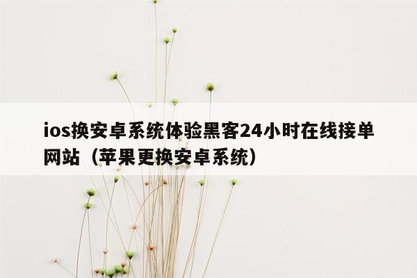 ios换安卓系统体验黑客24小时在线接单网站（苹果更换安卓系统）